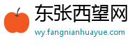东张西望网